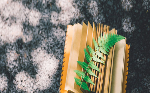 國開是什么意思？