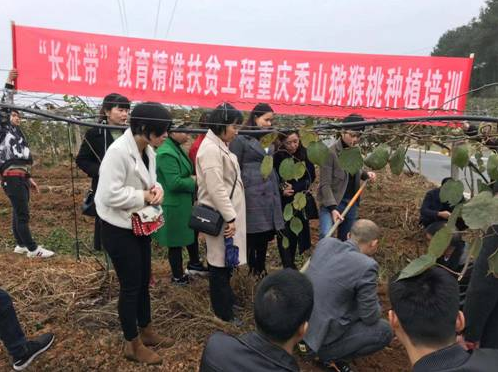 秀山分校開展旅游和獼猴桃種植技能扶貧培訓