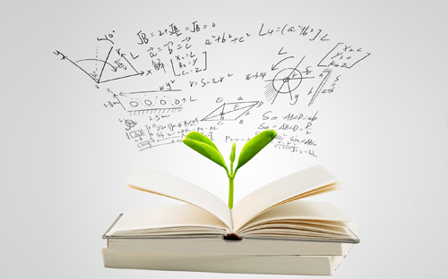 高州開放大學地址在哪里