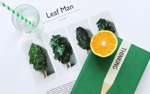 廉江開放大學學費多少錢