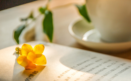 霞山開放大學地址在哪里？