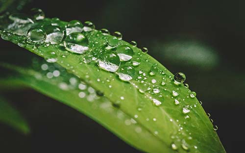 江西余江開放大學學歷國家承認嗎？