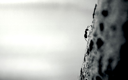 紫陽開放大學怎么樣? 紫陽開放大學怎么樣?