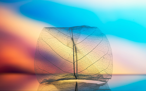 寧陜開放大學怎么樣？