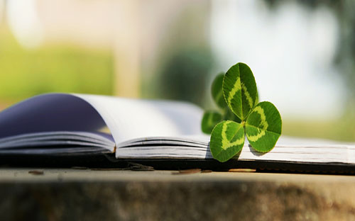 城中開放大學怎么樣？