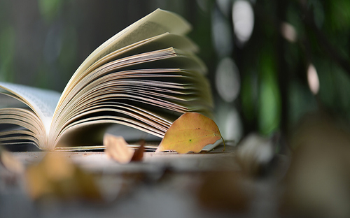 穆棱開放大學的學歷國家承認嗎？