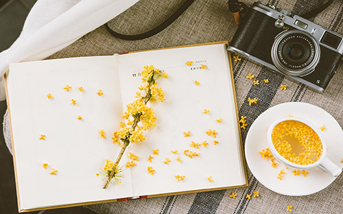 海棠開放大學期末考試不及格怎么辦？