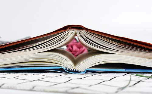 岳陽開放大學在哪里？