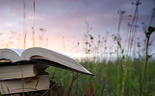 國家開放大學的課程設置原則是什么？