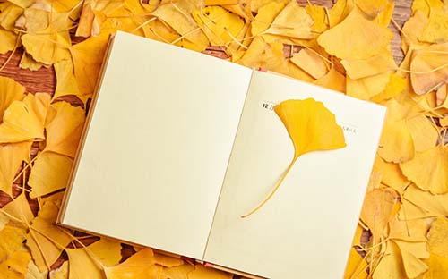 浙江音樂學院考研準考證怎么打印？