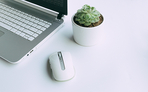 成人高考專升本能申請學位嗎？