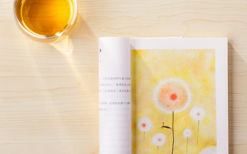 自考哪個專業適合考公務員? 自考哪個專業適合考公務員?