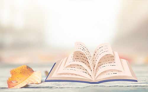 成人自考的專業可以換嗎?