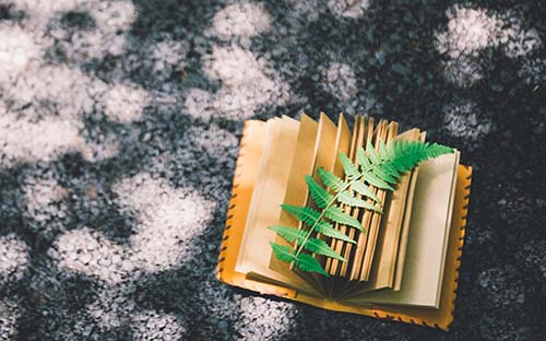 江蘇成人高考本科學費一年多少錢？