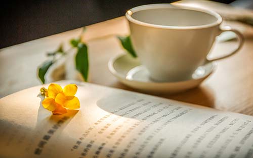 2023年上半年河南省周口市自考報名時間:3月3日至3月7日 2023年上半年河南省周口市自考報名時間:3月3日至3月7日