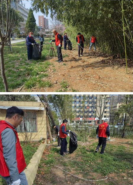 我院開展“愛國衛生運動” 主題黨日活動