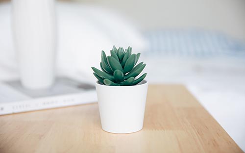 成人高考專升本數學歷年真題怎么找? 成人高考專升本數學歷年真題怎么找?