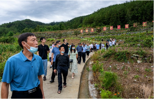 廣元市“白葉一號?”數字化升級賦能智慧農業轉型發展研修班成功舉辦