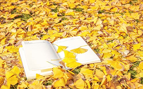 巨野開放大學怎么樣？