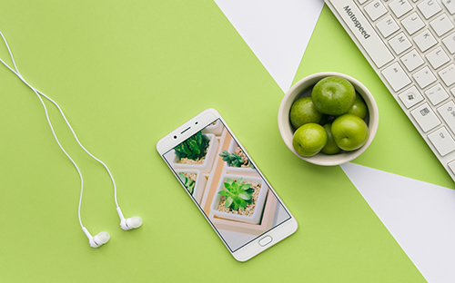 成人高考能學漢語言嗎？