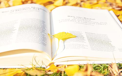 成人高考報名要自己報嗎? 成人高考報名要自己報嗎?