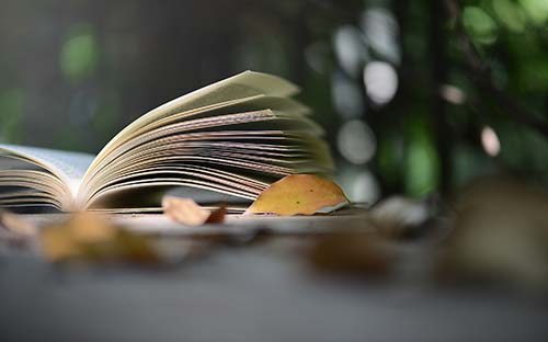 成人高考專升本含金量高嗎？