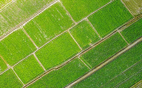 自考就業前景好的專業有哪些? 自考就業前景好的專業有哪些?