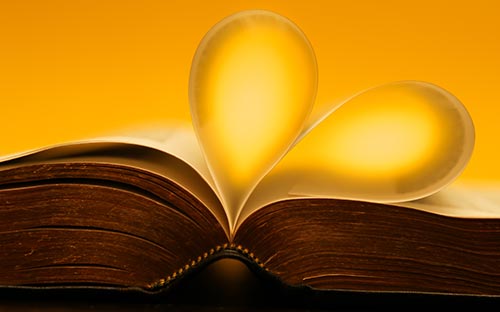 成人高考學歷能考哪些資格證書？