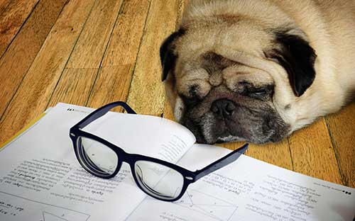 自學考試通過率是怎么樣? 自學考試通過率是怎么樣?