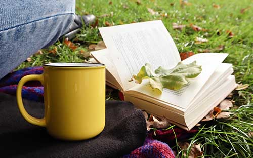 山東青島成人高考怎么報名？