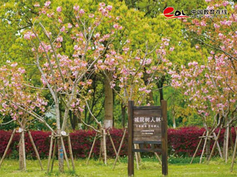 上海城建職業學院繼續教育學院校園風光