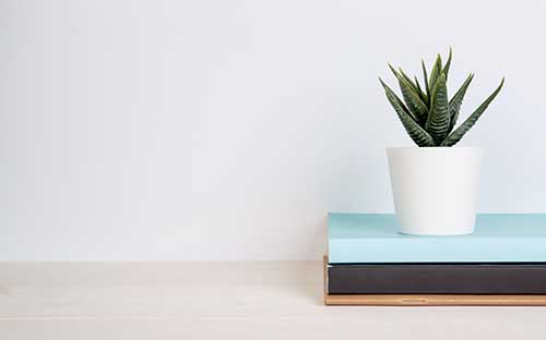 重慶秀山電大報名地址在哪里? 重慶秀山電大報名地址在哪里?