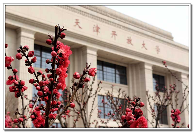 天津開放大學校園風光