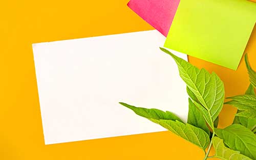 廣西成人高考有哪些學校可以選擇? 廣西成人高考有哪些學校可以選擇?