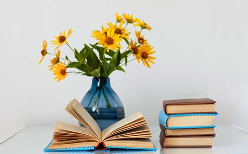 四川自學考試專業設置考什么？