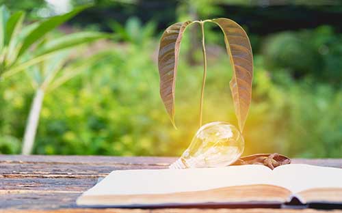 成人高考現場確認要注意什么？可以不去嗎？