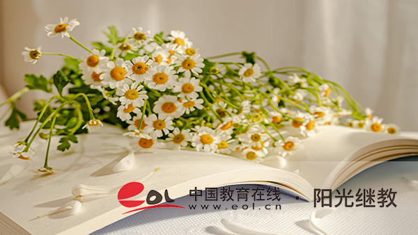 深圳成人高考有哪些專業可選?要如何選擇? 深圳成人高考有哪些專業可選?要如何選擇?