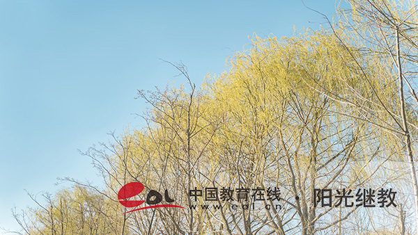 成人大專和本科能一起讀嗎？