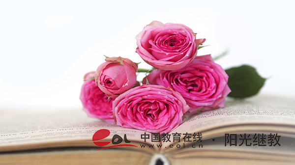 青島自考有哪些科目？怎么查成績？