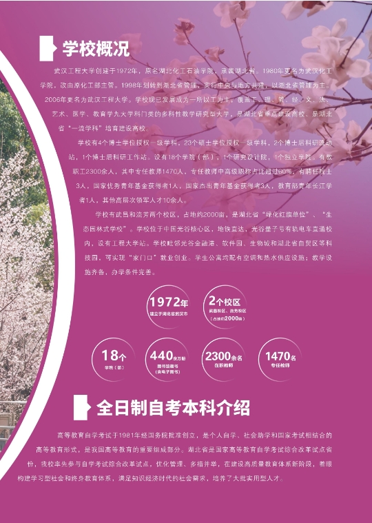 武漢工程大學2025年全日制自考本科（專升本）招生簡章