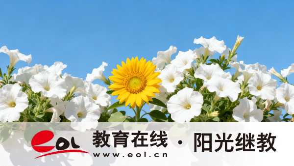 北京自學考試報名入口在哪里？怎么做復習計劃？