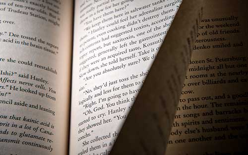 如何查詢成人高考的報名情況？可以自由選擇學習形式嗎？