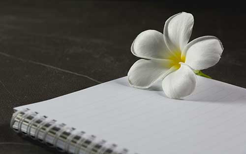 銀川成人高考在哪里報名?有哪些專業? 銀川成人高考在哪里報名?有哪些專業?