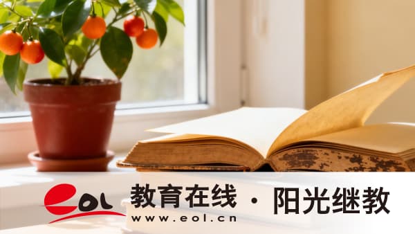 新疆成人高考網上報名有哪些流程？報名需要了解哪些信息？