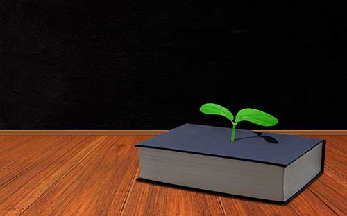 三臺電大報名時間怎么樣？可以選醫學專業嗎？