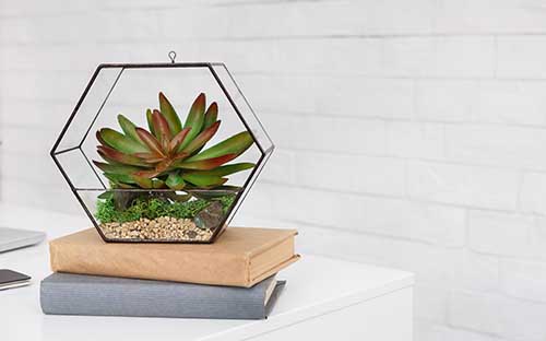 國家開放大學沒有修完學分怎么畢業？要修到多少？