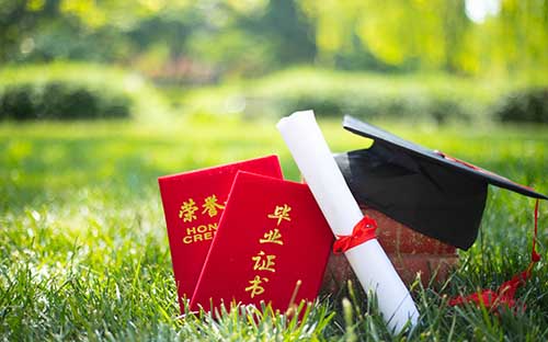 新西蘭留學什么專業最好