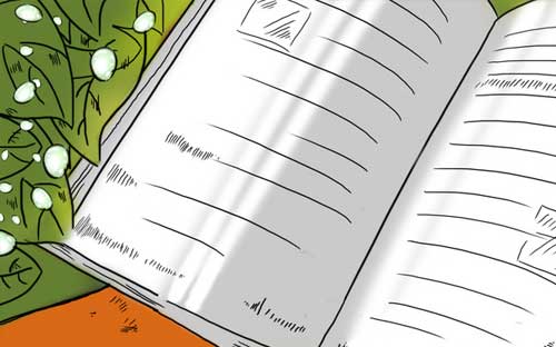 澳洲留學生需要申請稅號嗎？稅號報稅申請操作