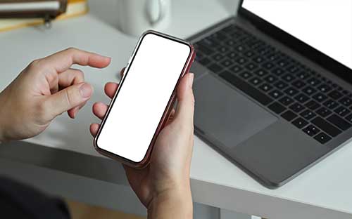 費用高的中外合作辦學專業