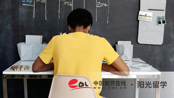 電子科技大學二加二中外合作國際本科價格一年多少錢
